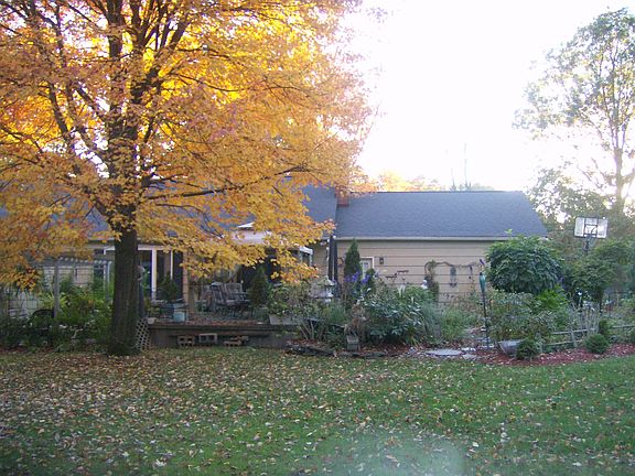 colorful maples and constant gardens 