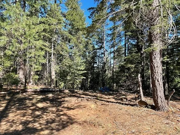 12664 Last Chance Mine Rd photo 1