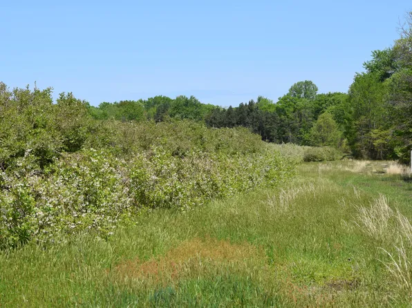 0 County Road 376 Ave, Covert, MI 49043