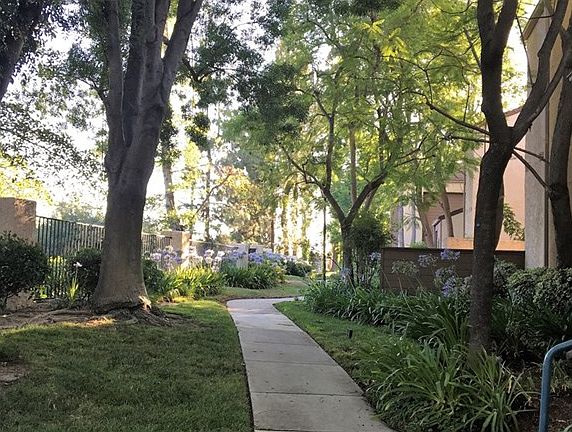 4th image of 39 N Via Colinas