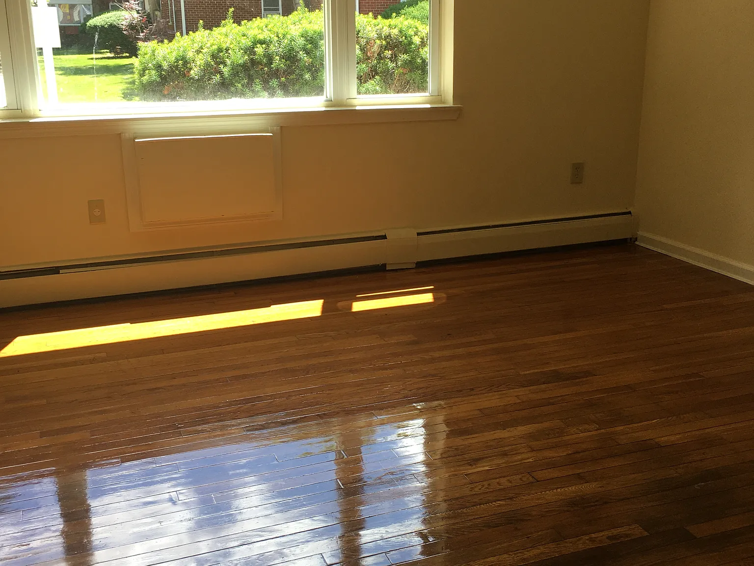 1 bed, 735 sqft, $1,595 — Photo 4