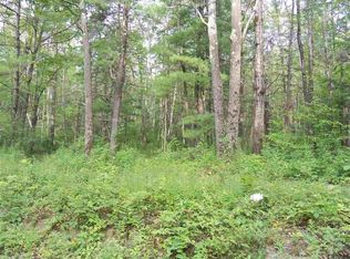 0 Lower Rd, Middleburgh, NY 12122