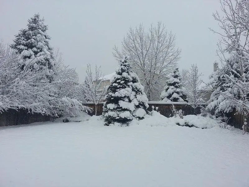 3 bed, 2.5 bath, 2296 sqft, $2,800 — Photo 2