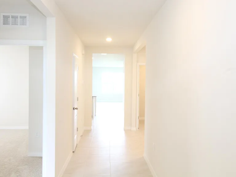524 Talisi Loop — Photo 3