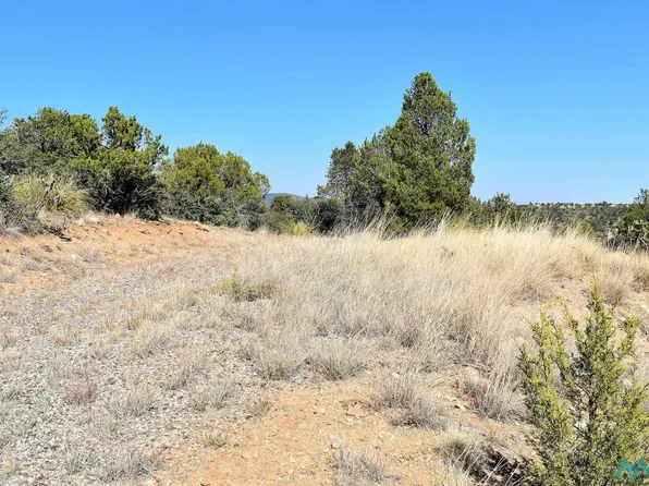12 Hereford Dr, Silver City, NM 88061