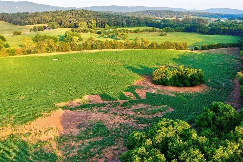 1st image of Battlefield Rd