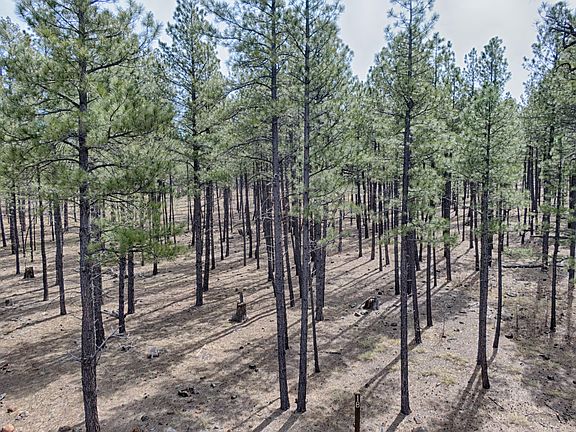 3rd image of 9575 Sierra Springs Dr