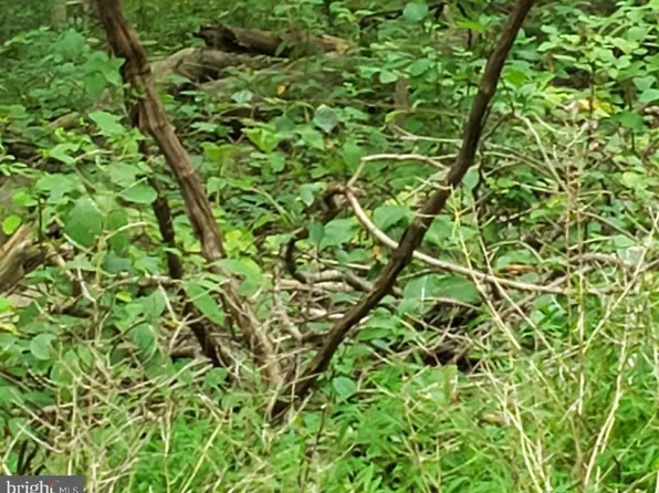 John Ave, Essex, MD 21221