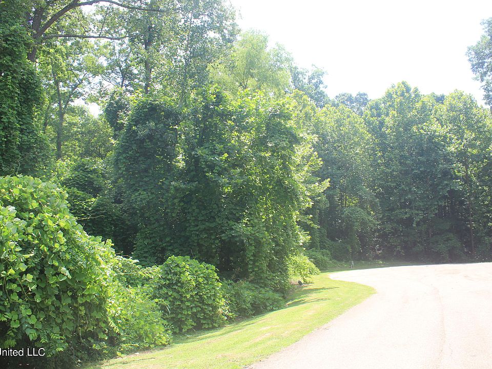7160 Soaring Oaks Cv, Walls, MS 38680 MLS 4020465 Zillow
