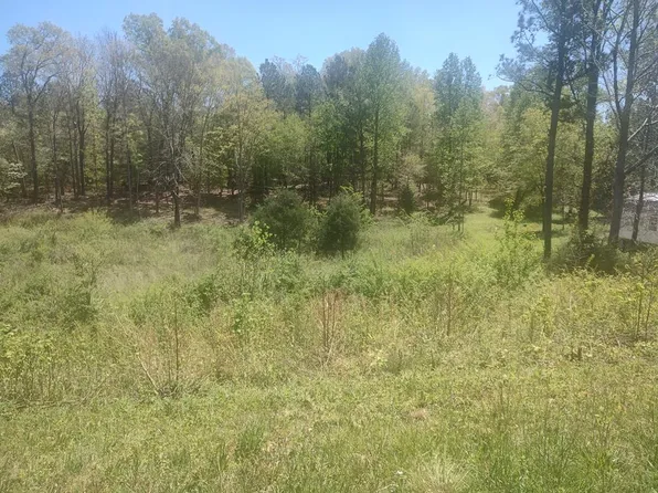 0 Michaels Ln, Chatsworth, GA 30705