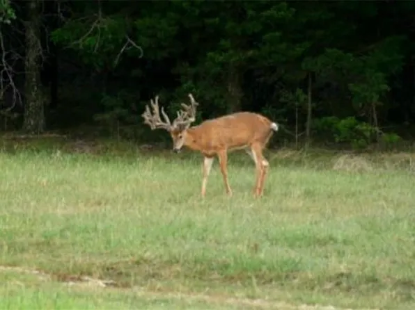 24030 Haley Rd, Princeton, MO 64673