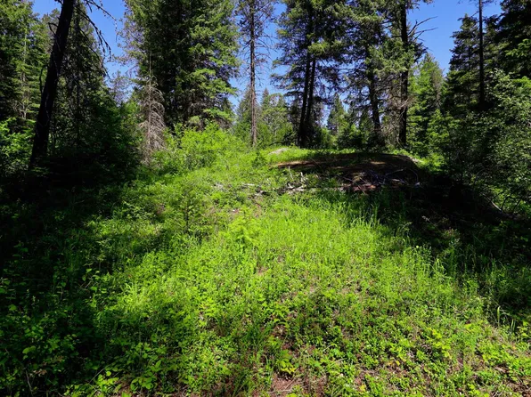 14 Elk Rd, Newport, WA 99156