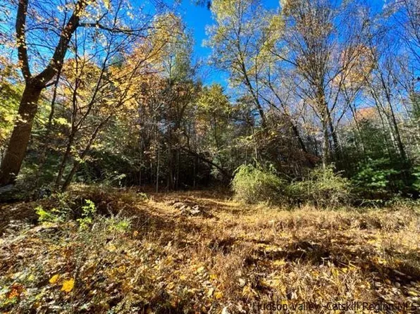 00 Chestnut Hill, Woodstock, NY 12498