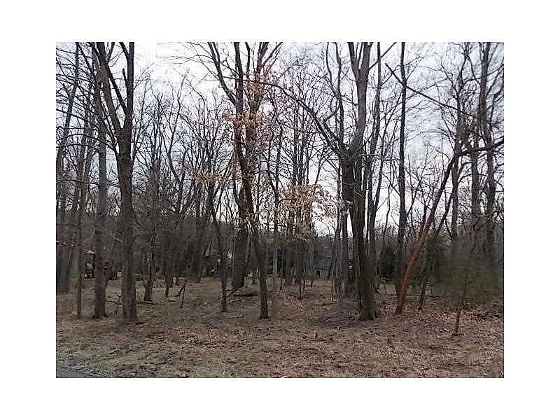 197 Sunrise Dr photo 1