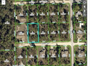 0 Gannet Ave, Weeki Wachee, FL 34614