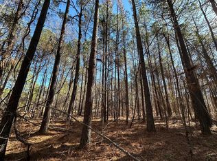 2 Levi Cooper Rd, Braxton, MS 39044