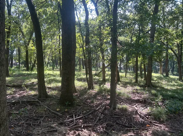 LOT 23 S Coves Dr, Afton, OK 74331