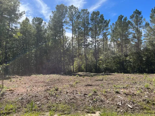 18 Pate Rogers Rd, Fleming, GA 31309