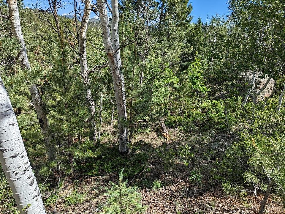 1st image of 133 Sweet Gum Ln