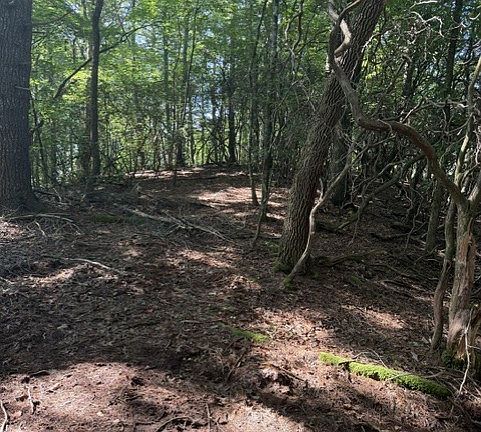 4th image of 150 Wayah Rd