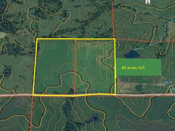 Brush Creek Rd, Downing, MO 63536
