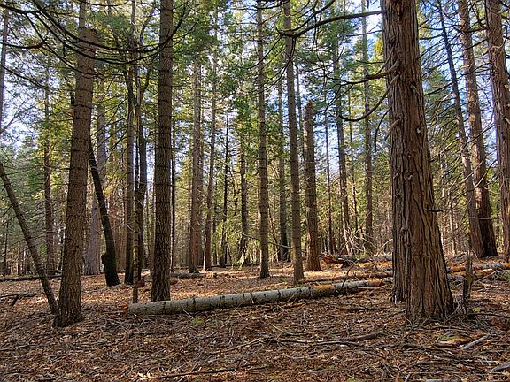 3rd image of 680 Sugar Pine Rd