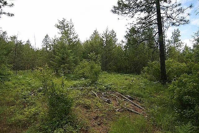 1st image of LOT Waldrons Ln