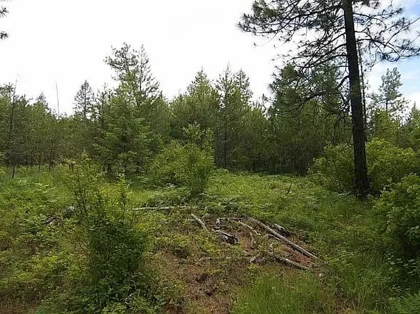 LOT Waldrons Ln, Chattaroy, WA 99003