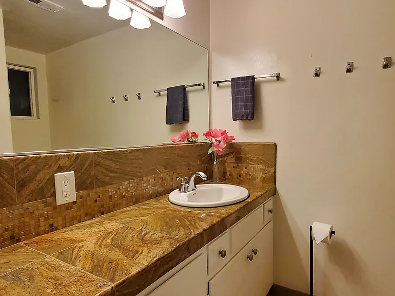 Marble Bathroom