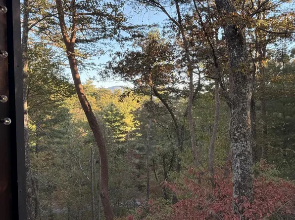 35 Leatherwood Mountain Rd, Cherry Log, GA 30522
