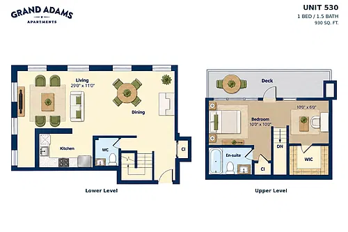Floor plan 1 Bed / 1.5 Baths