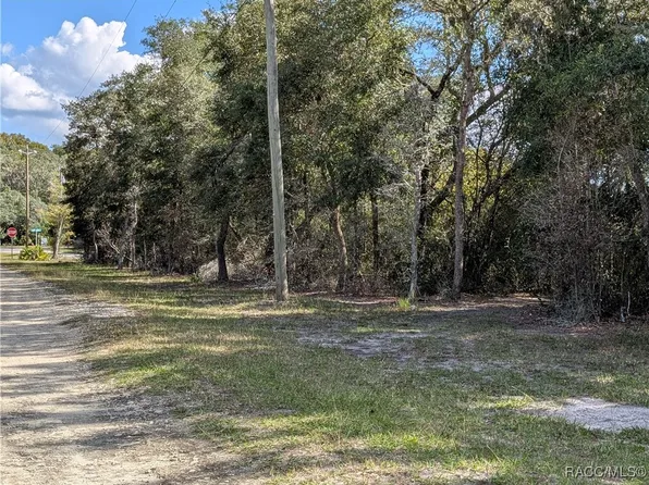4114 E Camp Izzard Pl, Dunnellon, FL 34434