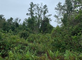 1508 Blackwillow St, Lake Placid, FL 33852