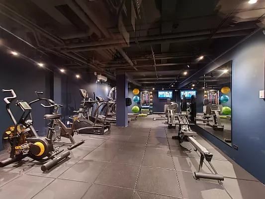 Rented by Living New York | media 16