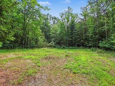 Blair St, West Olive, MI, 49460