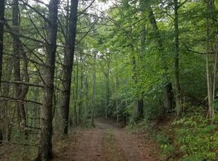 598 Browns Branch Rd, Hampton, TN 37658