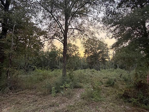 3rd image of Rl9b Phillip Richardson Rd