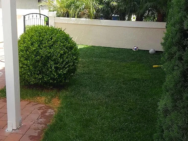 3919 Caminito Silvela — Photo 2