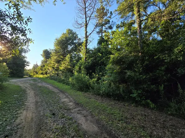 Jones Ct, Midland City, AL 36350