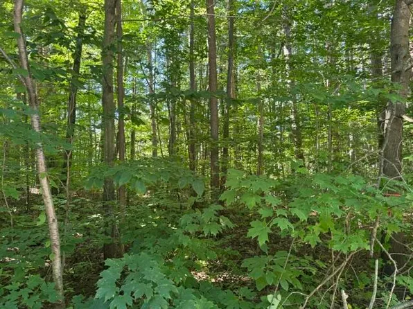 5818 Hunters Rdg, Fennville, MI 49408
