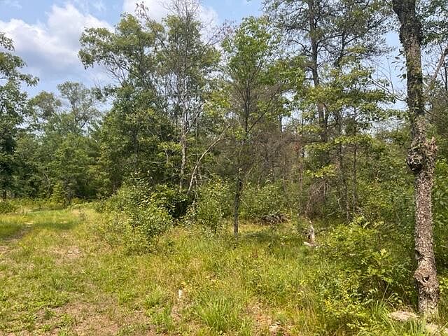 1st image of S Spice Bush Trl