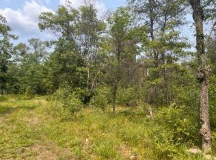 S Spice Bush Trl, Idlewild, MI 49642