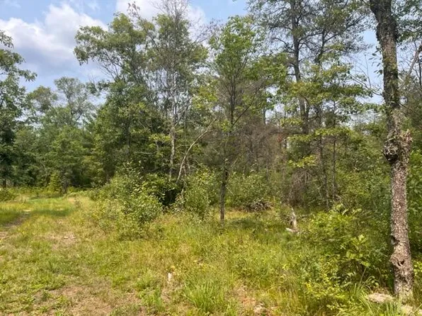 S Spice Bush Trl, Idlewild, MI 49642