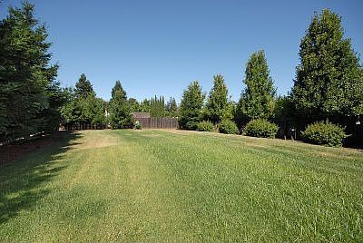 4th image of 3010 La Mantia Dr