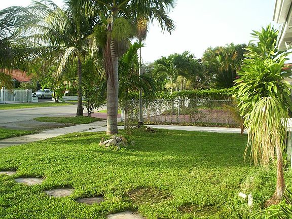 Front Yard