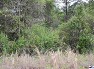 0 Hartsville Ruby Rd, Patrick, SC 29584