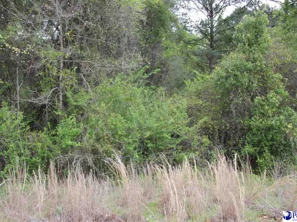 0 Hartsville Ruby Rd, Patrick, SC 29584