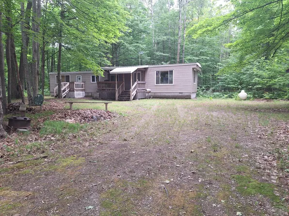 7406 E Cadillac Rd, Falmouth, MI 49632