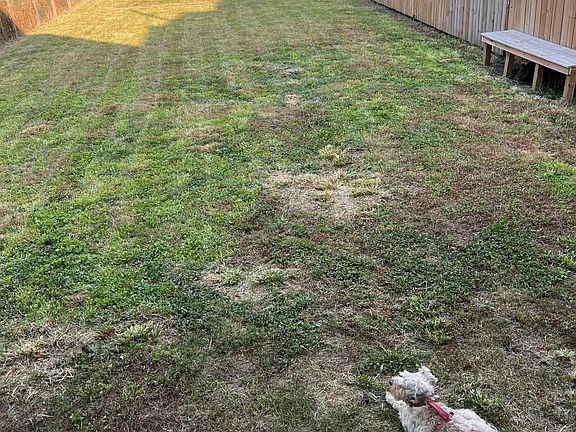 Privacy fencing currently being installed all sides.