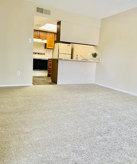 Desert Springs Apartments — Photo 26